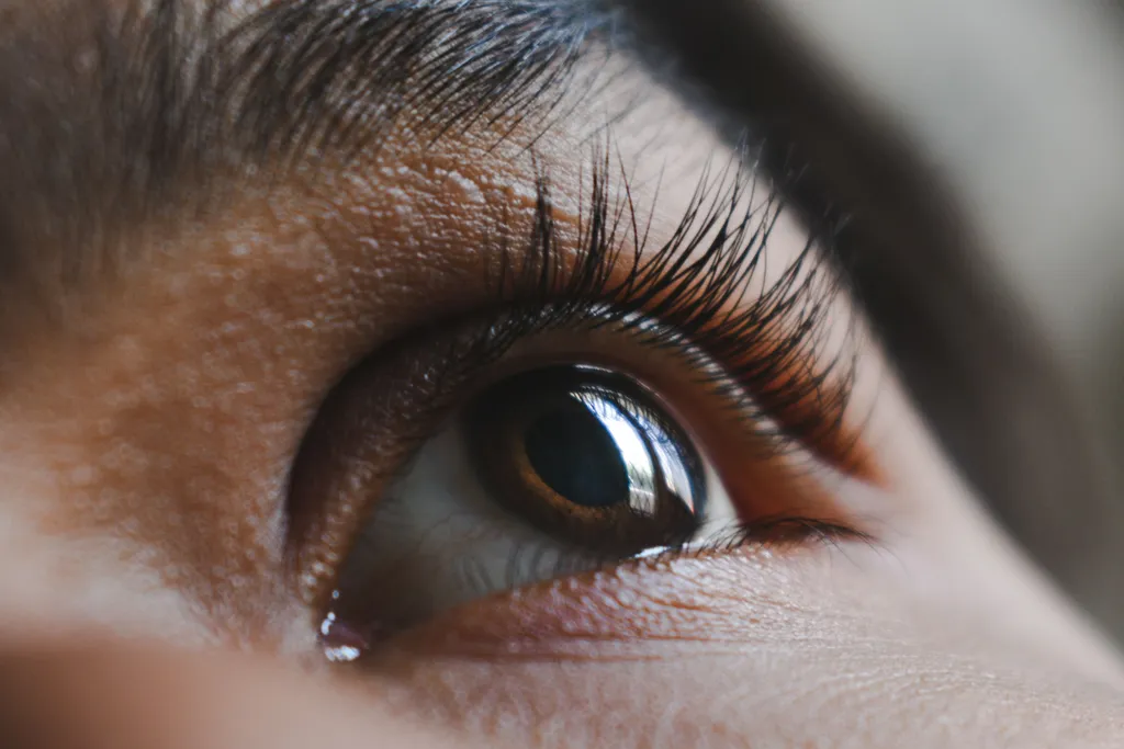 Beauté du regard